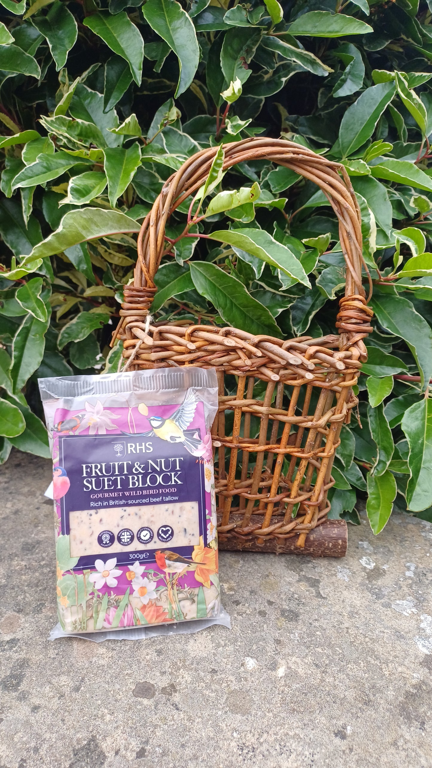 Willow Bird Feeder