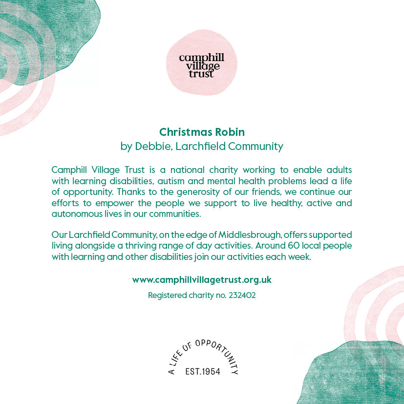 Christmas Robin Card