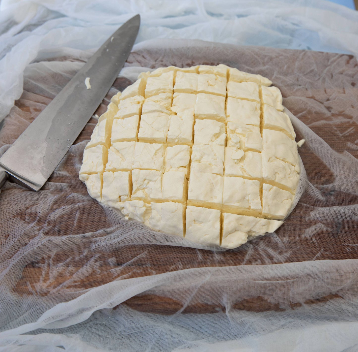 BEER LOVER'S CHEESE MAKING foodie gift vegetarian gluten fre