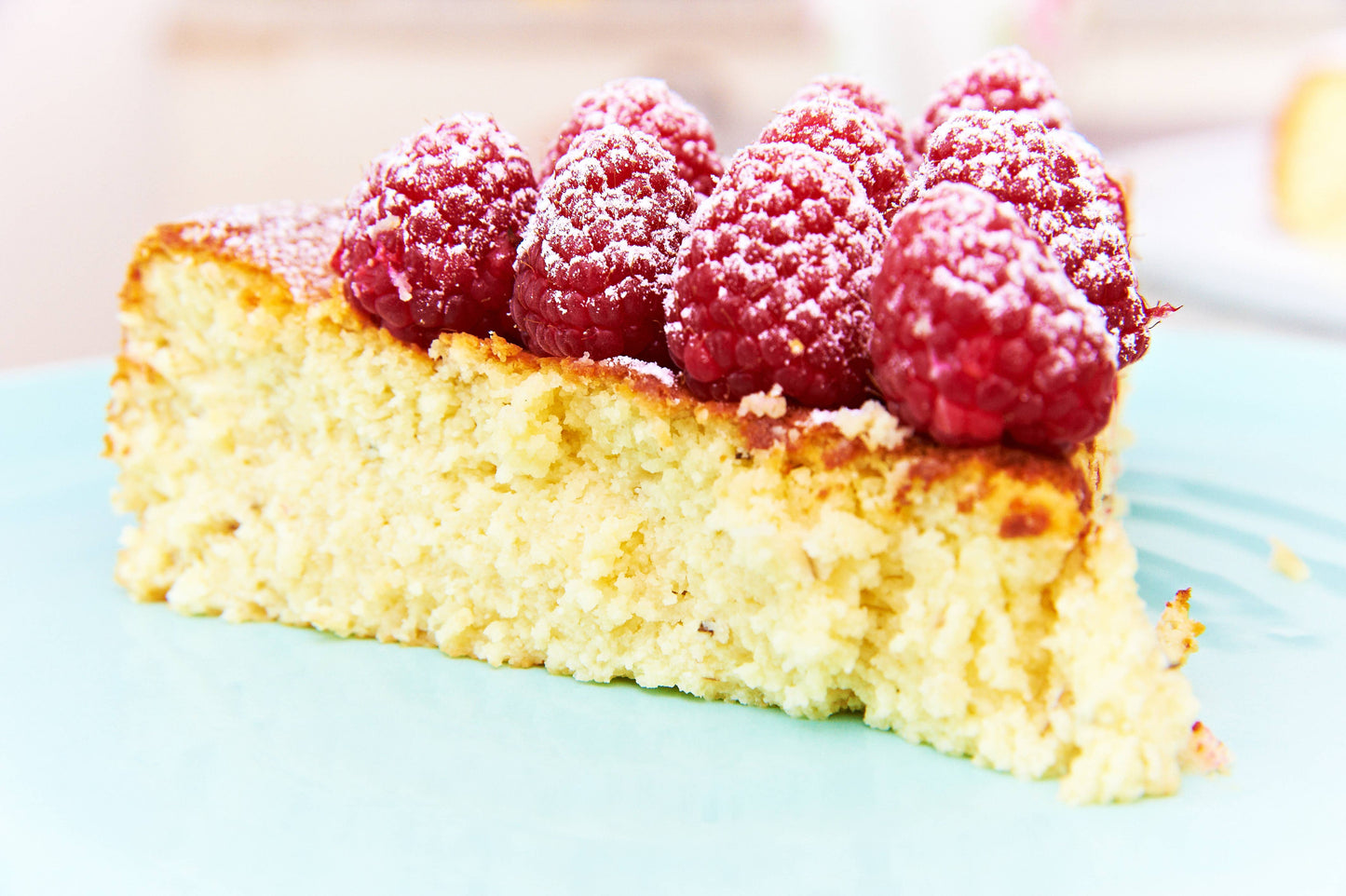 MEDITERRANEAN CHEESE MAKING KIT foodie gift vegetarian