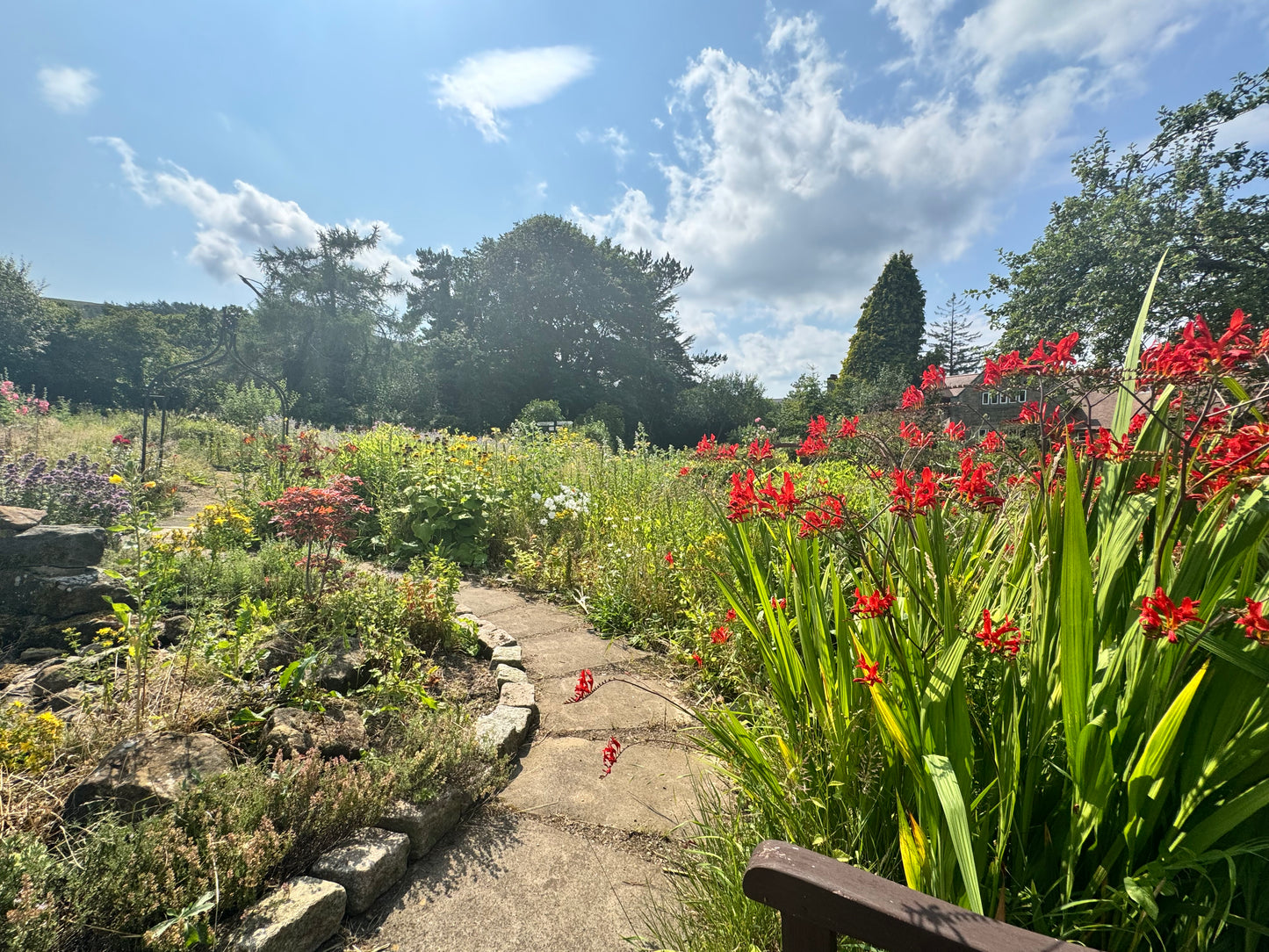 Willow Basket Weaving Workshop