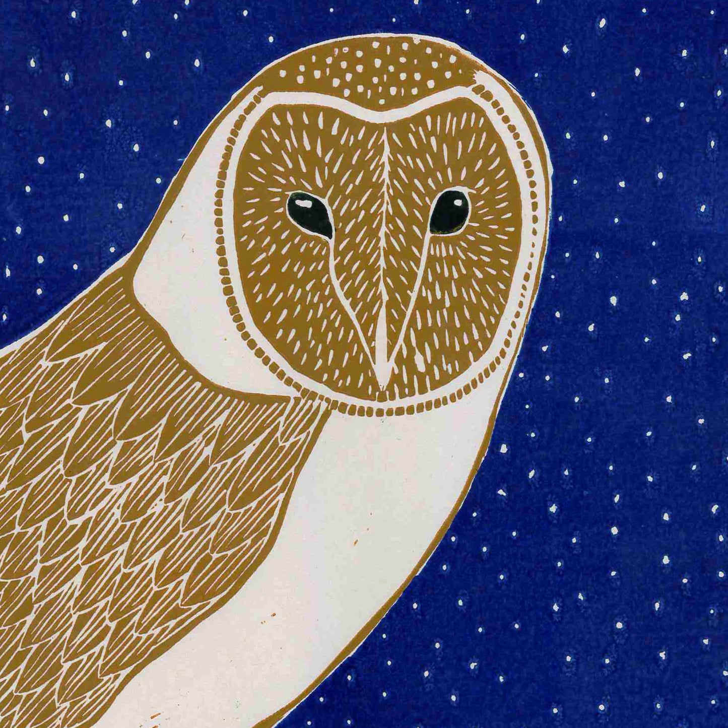 Winter Wildlife- Christmas Cards