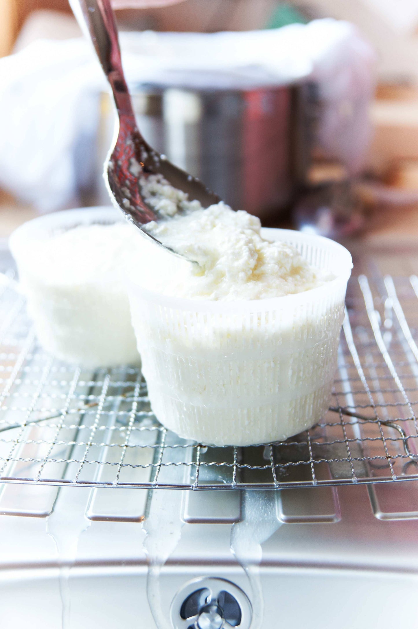 Wallace & Gromit Mozzarella & Ricotta Cheese Making Kit