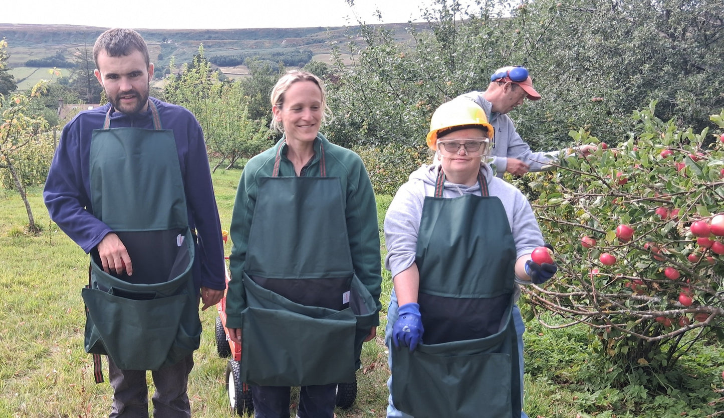 Botton Apple Juice Made From Organic Apples