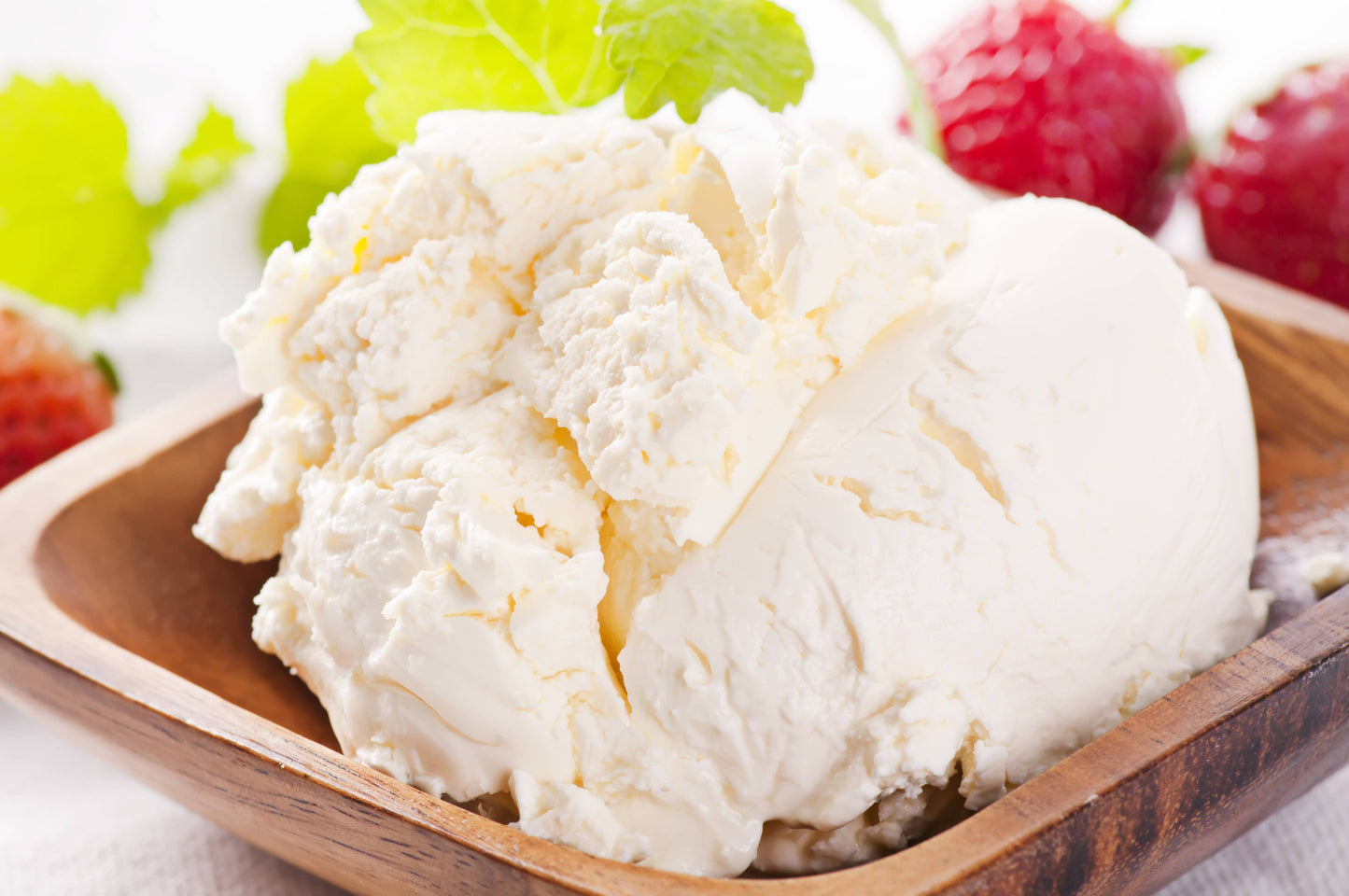 MEDITERRANEAN CHEESE MAKING KIT foodie gift vegetarian