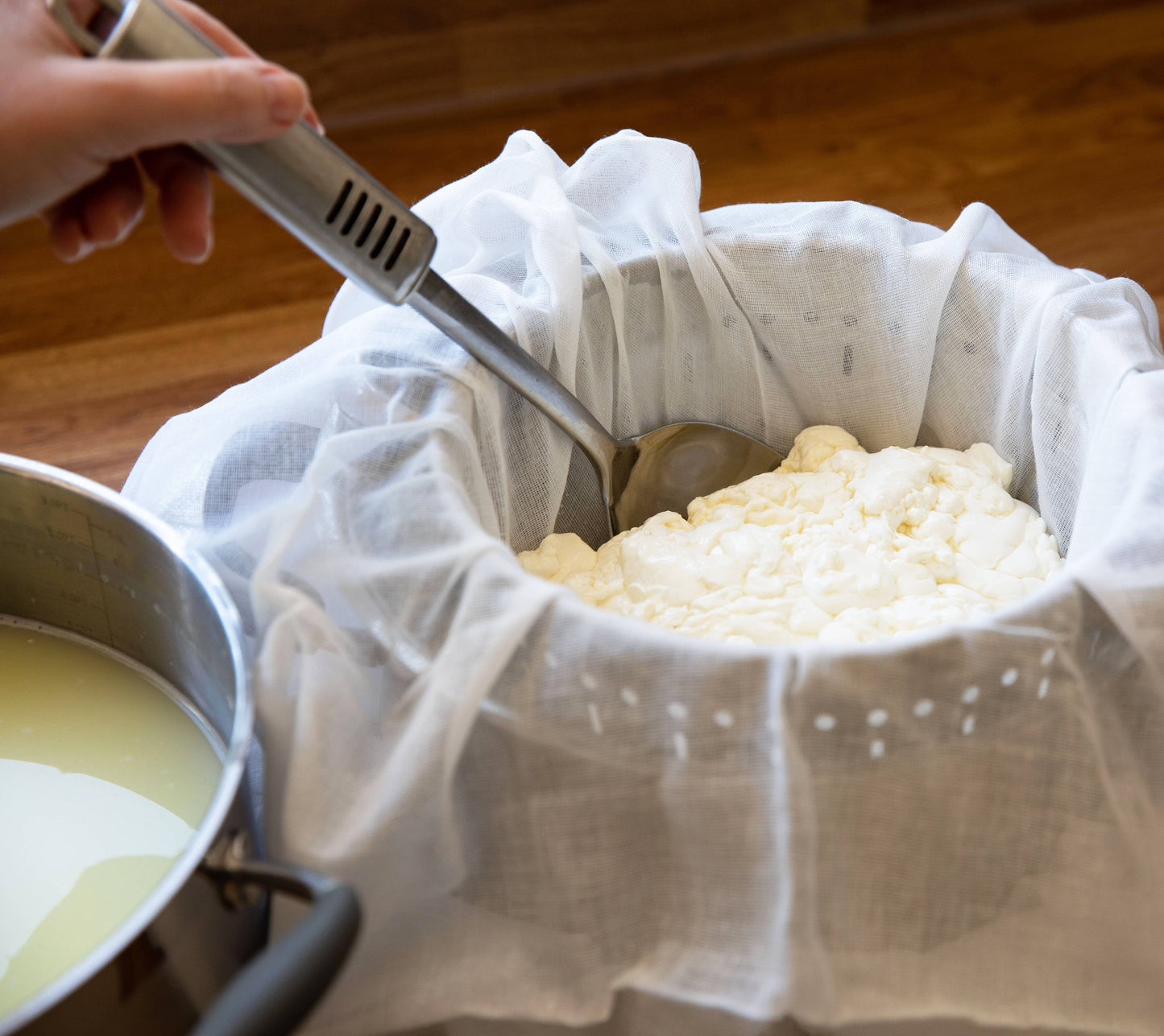 BEER LOVER'S CHEESE MAKING foodie gift vegetarian gluten fre