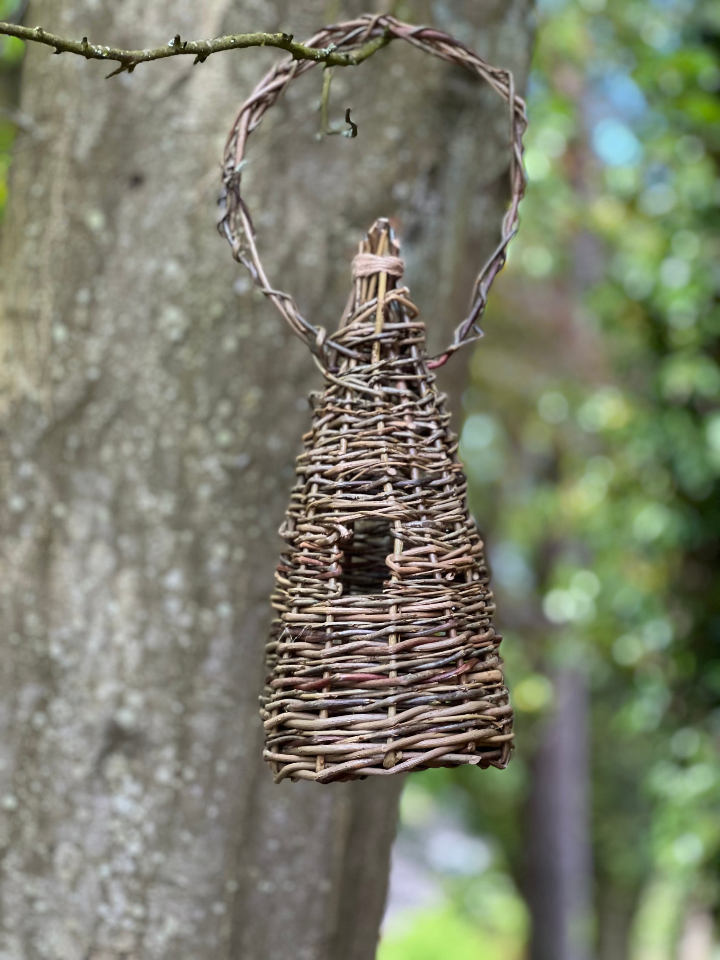 Willow Bird House