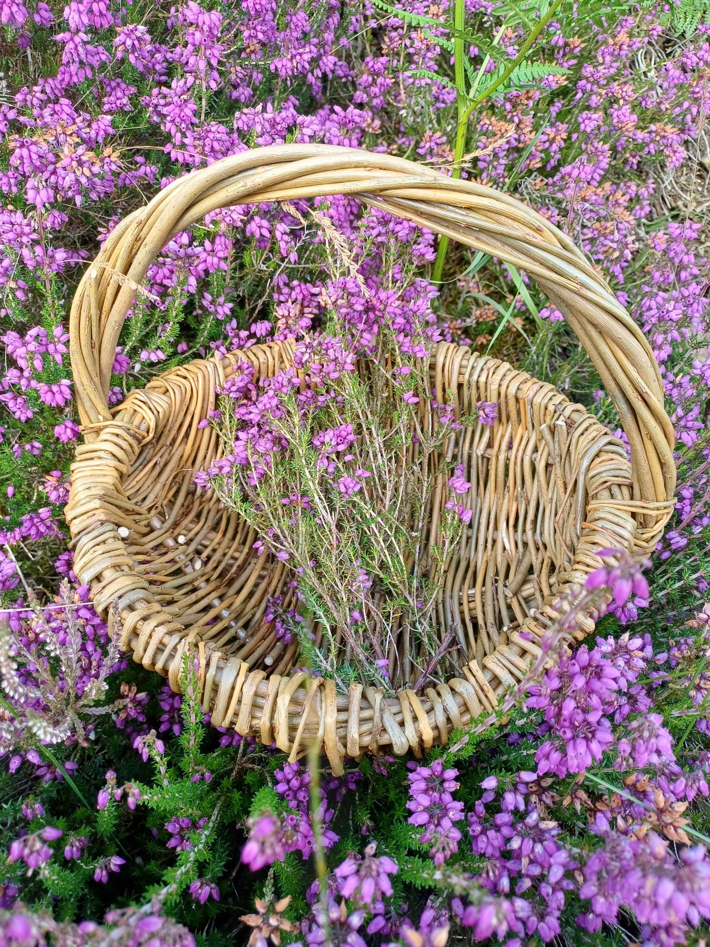 Willow Basket Weaving Workshop- 16/04/26