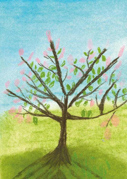 Greetings Cards. Spring Blossom