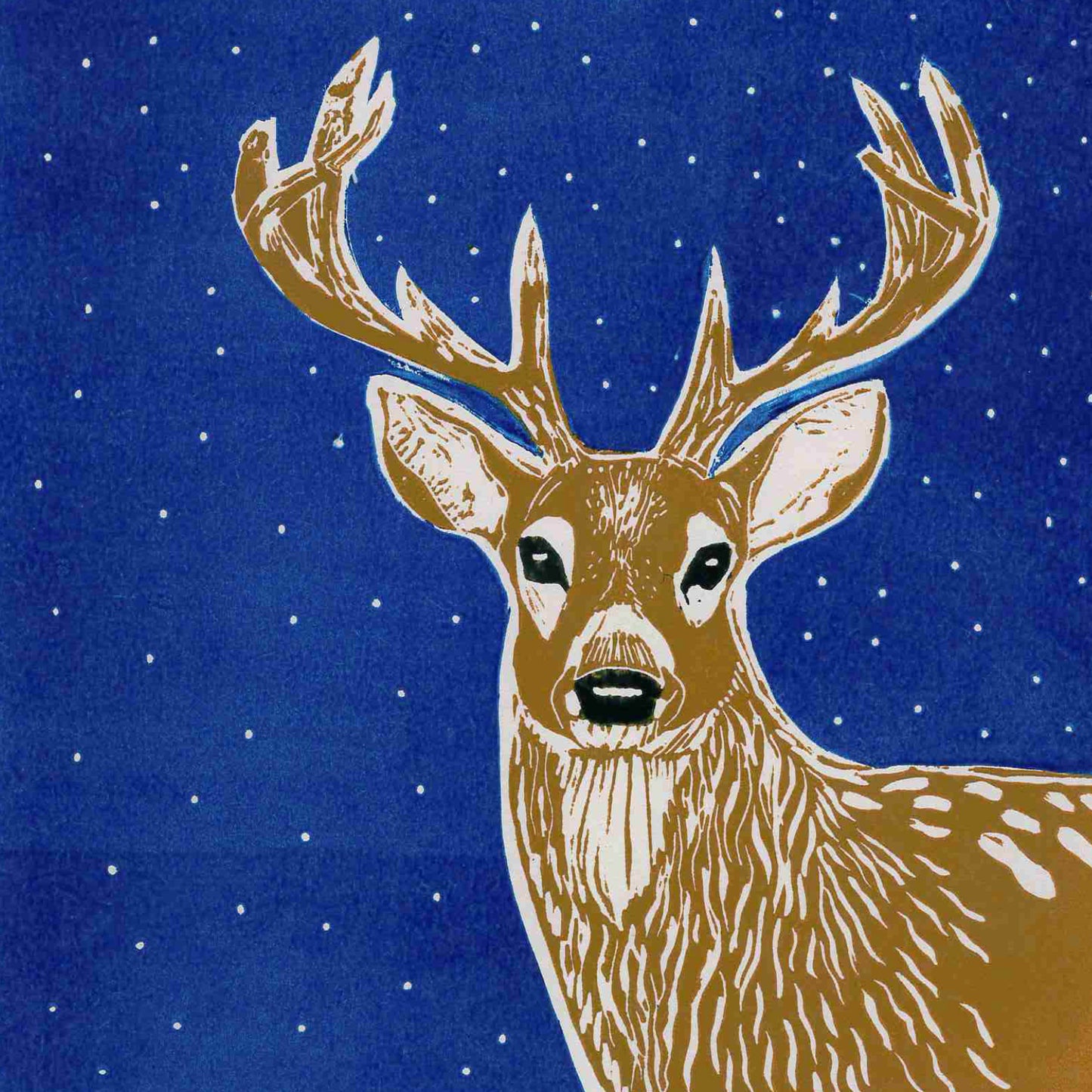 Winter Wildlife- Christmas Cards